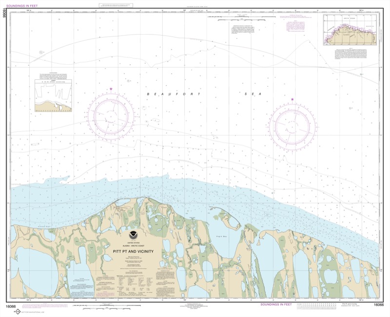 Pitt Pt. And Vicinity - <i>Chart #16066</i>