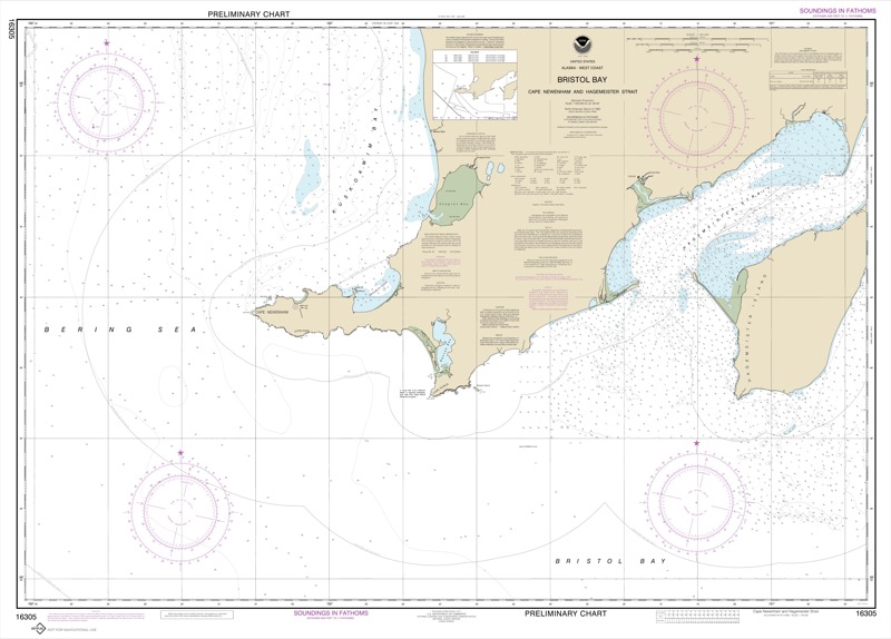 Bristol Bay- Cape Newenham and Hagemeister Strait - <i>Chart #16305</i>