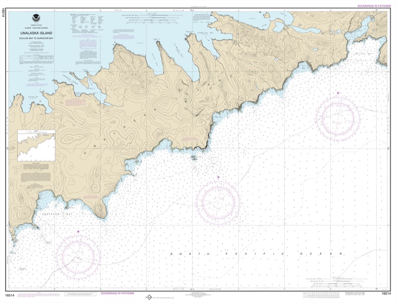 Kulikak Bay and Surveyor Bay - <i>Chart #16514</i>