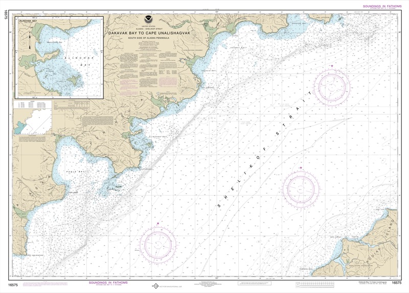 Dakavak Bay to Cape Unalishagvak, Alinchak Bay - <i>Chart #16575</i>