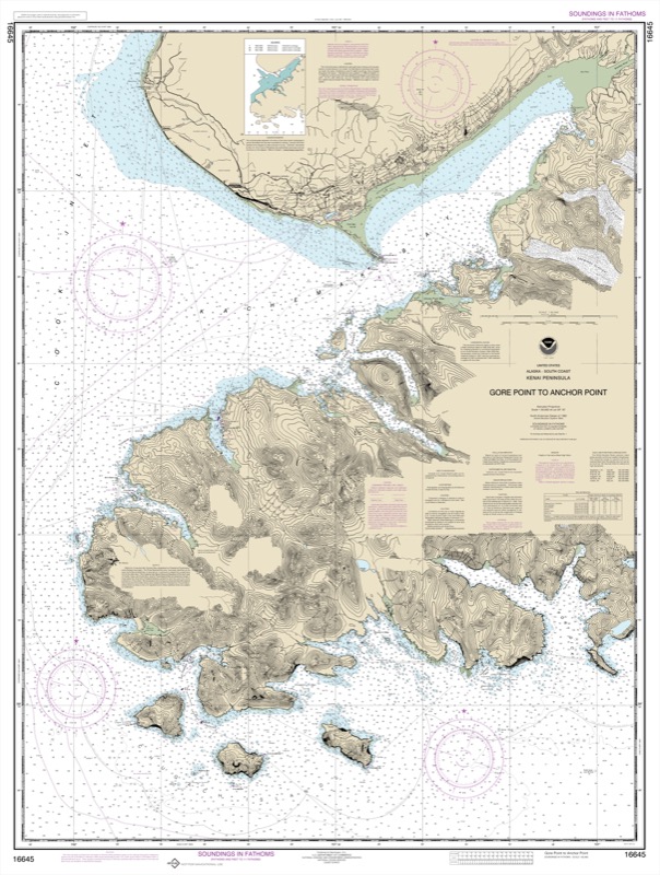 Gore Point to Anchor Point - <i>Chart #16645</i>