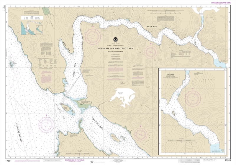 Holkham Bay and Tracy Arm Stephens Passage - <i>Chart #17311</i>