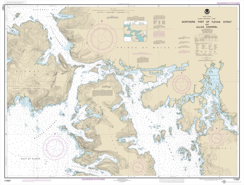 Northern Part of Tlevak Strait and Uloa Channel - <i>Chart #17407</i>