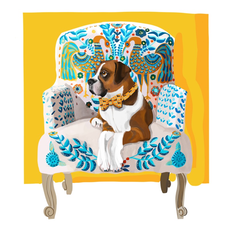 Boxer on Patterned Chair