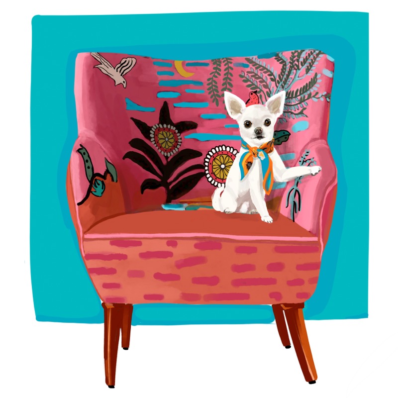 Chihuahua On Pink Patterned Chair