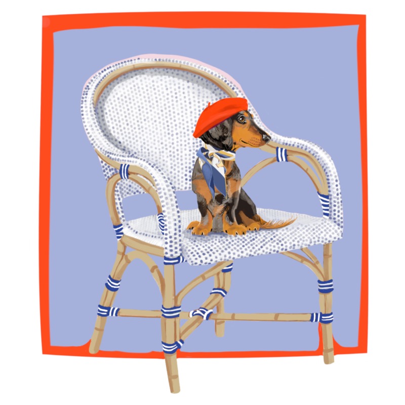 Dachsund on Bistro Chair