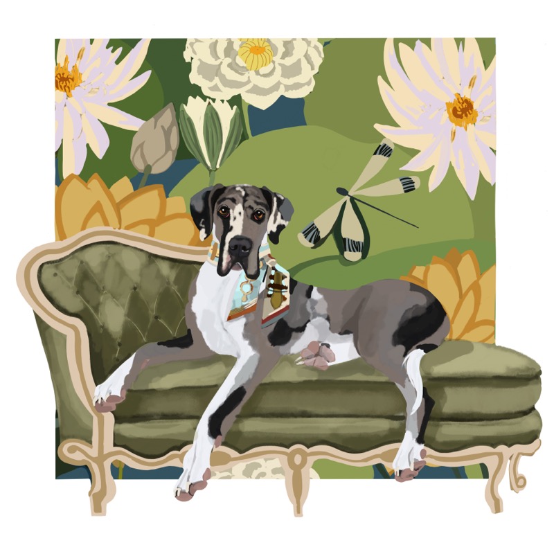 Great Dane on Green Settee