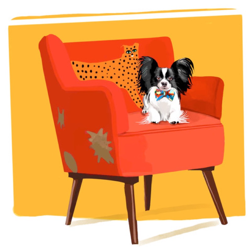 Papillon On Red Chair