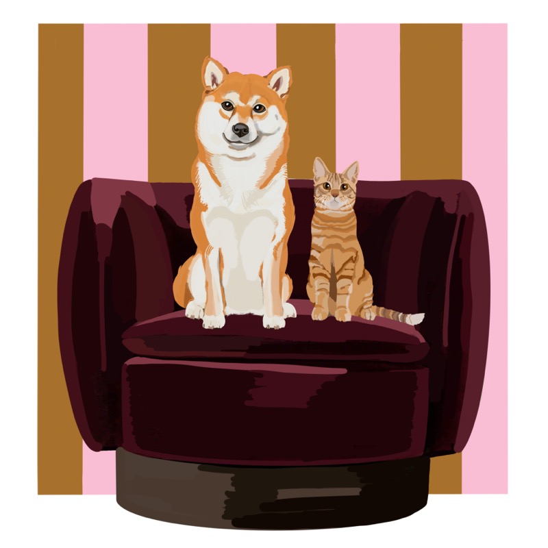 Shiba Inu and Orange Cat On Burgundy Chair