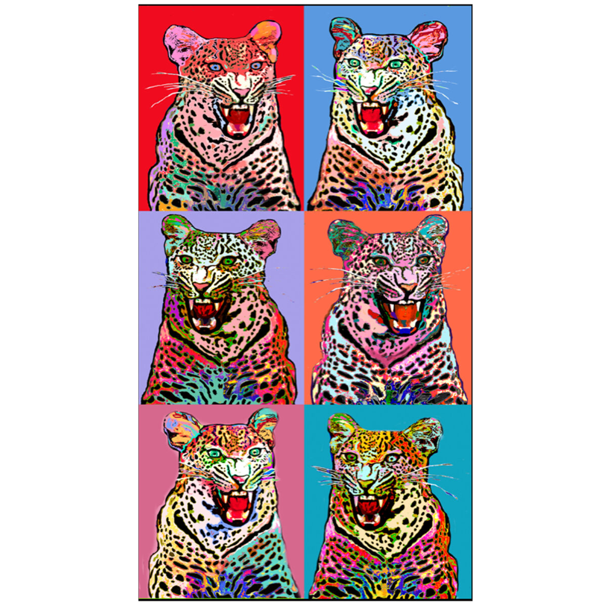 Leopards